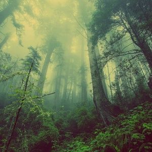 Meet your Posher, Liz